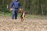 ADULTE ET CHIEN 353